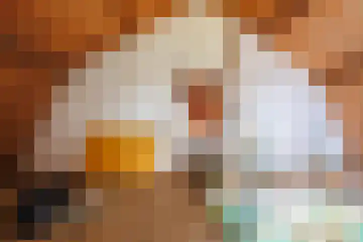 Oude Maasdijk 7 Dreumel thumbnail 28
