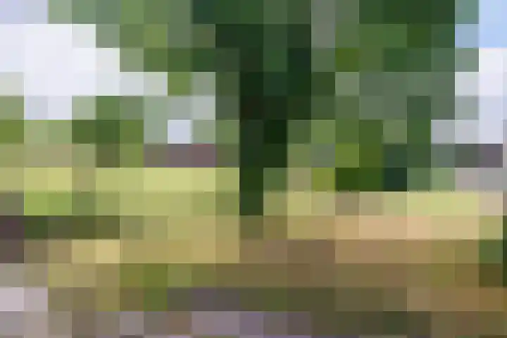 Oude Maasdijk 7 Dreumel thumbnail 38