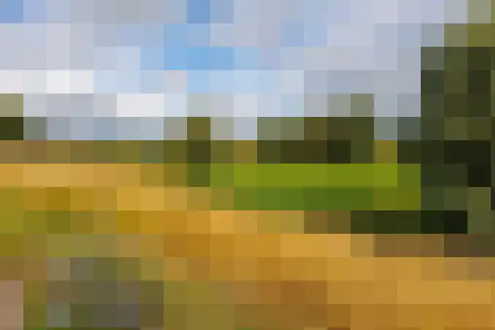 Oude Maasdijk 7 Dreumel thumbnail 40