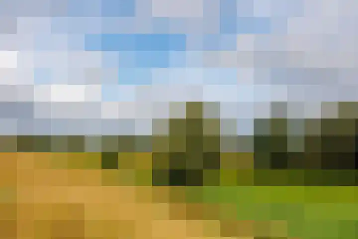 Oude Maasdijk 7 Dreumel thumbnail 41