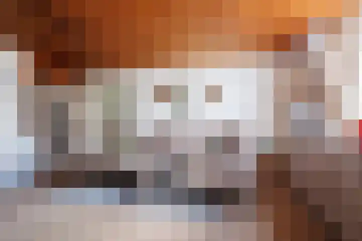 Oude Maasdijk 7 Dreumel thumbnail 7