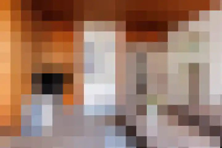Oude Maasdijk 7 Dreumel thumbnail 8