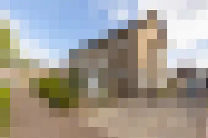 Oude Markt 9 Schinnen thumbnail 10