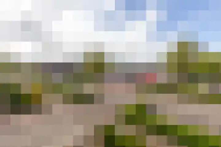 Oude Markt 9 Schinnen thumbnail 17