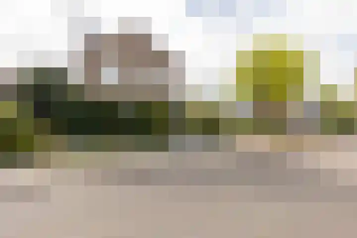 Oude Markt 9 Schinnen thumbnail 4