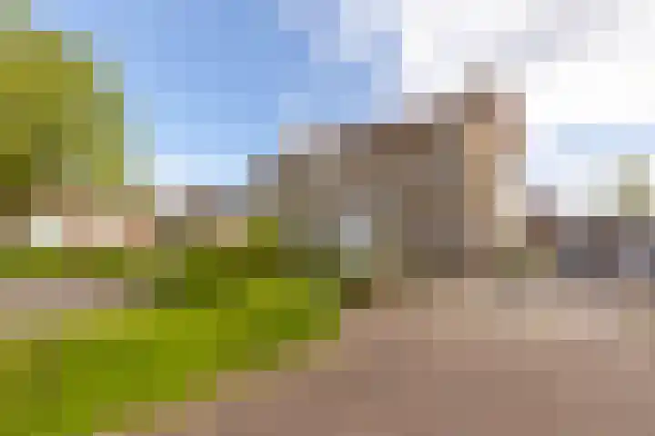Oude Markt 9 Schinnen thumbnail 8