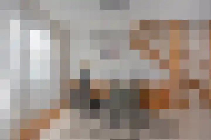 Oude Meer 21 Heythuysen thumbnail 16