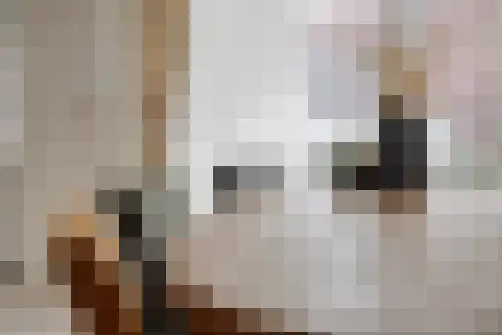 Oude Meer 21 Heythuysen thumbnail 18