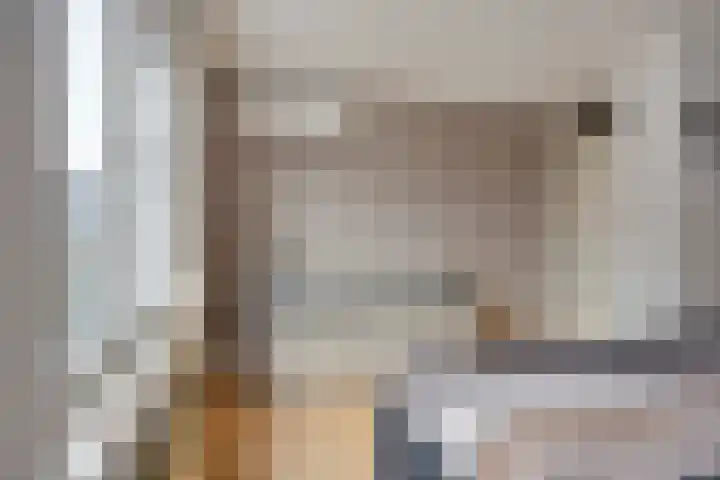 Oude Meer 21 Heythuysen thumbnail 29