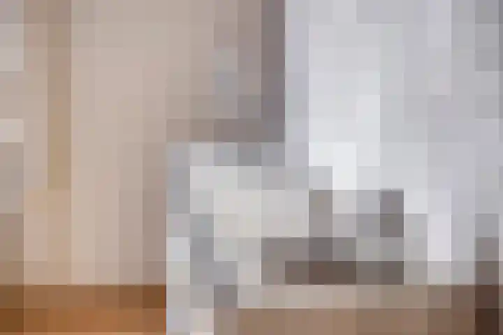 Oude Meer 21 Heythuysen thumbnail 30