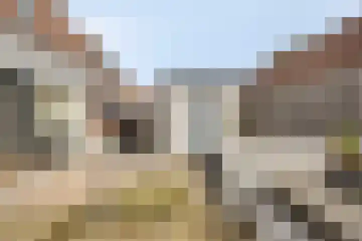 Oude Meer 21 Heythuysen thumbnail 47