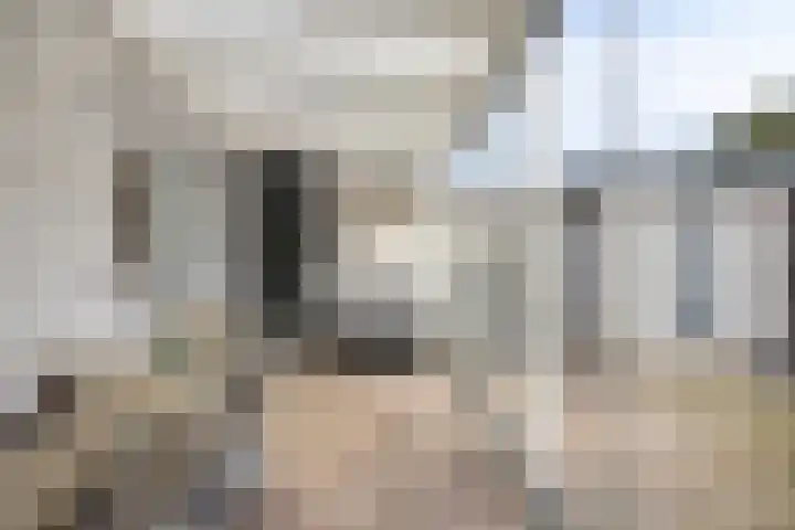 Oude Meer 21 Heythuysen thumbnail 49