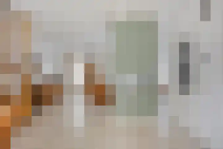 Oude Meer 21 Heythuysen thumbnail 5