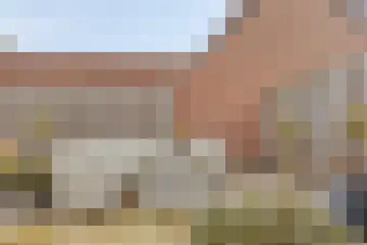 Oude Meer 21 Heythuysen thumbnail 50