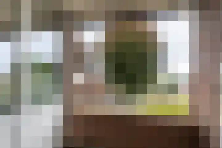 Oude Meer 26 Heythuysen thumbnail 13