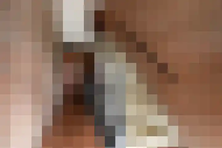 Oude Meer 26 Heythuysen thumbnail 17