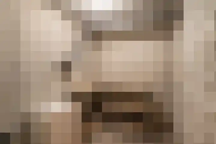 Oude Meer 26 Heythuysen thumbnail 19
