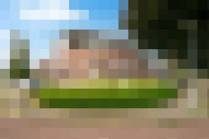 Oude Meer 26 Heythuysen thumbnail 21
