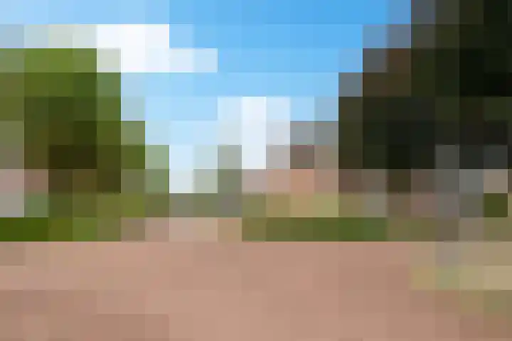 Oude Meer 26 Heythuysen thumbnail 22