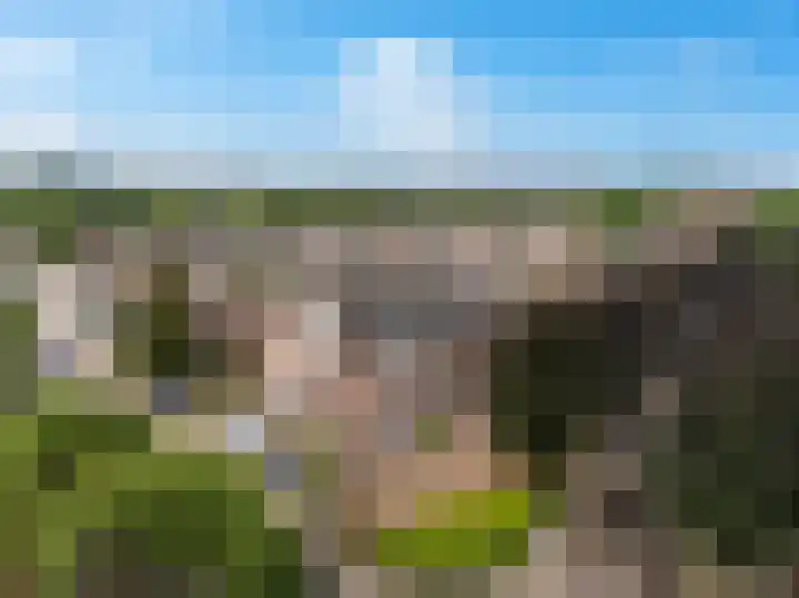 Oude Meer 26 Heythuysen thumbnail 24