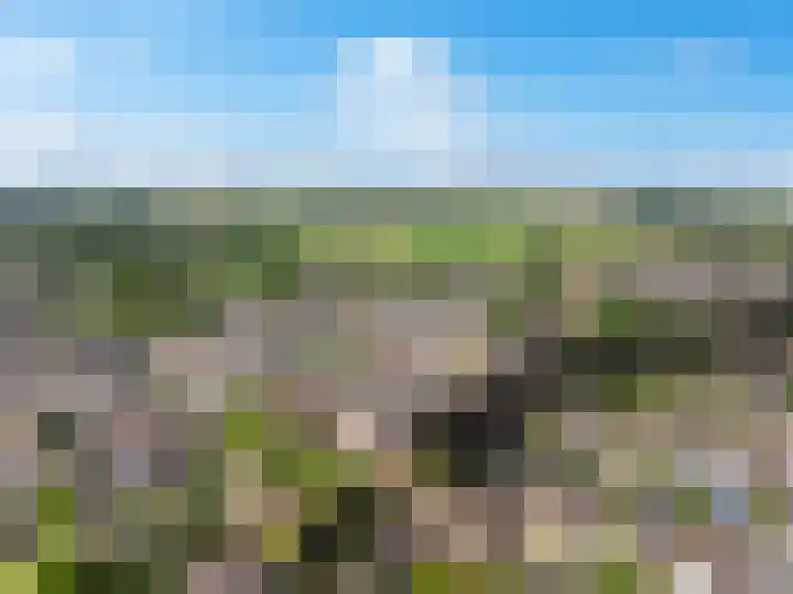Oude Meer 26 Heythuysen thumbnail 26
