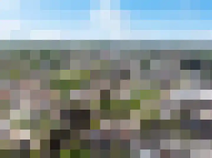 Oude Meer 26 Heythuysen thumbnail 27