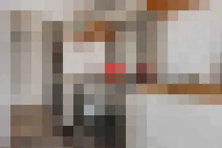 Oude Molenstraat 68 Oss thumbnail 11