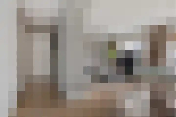 Oude Molenstraat 68 Oss thumbnail 7