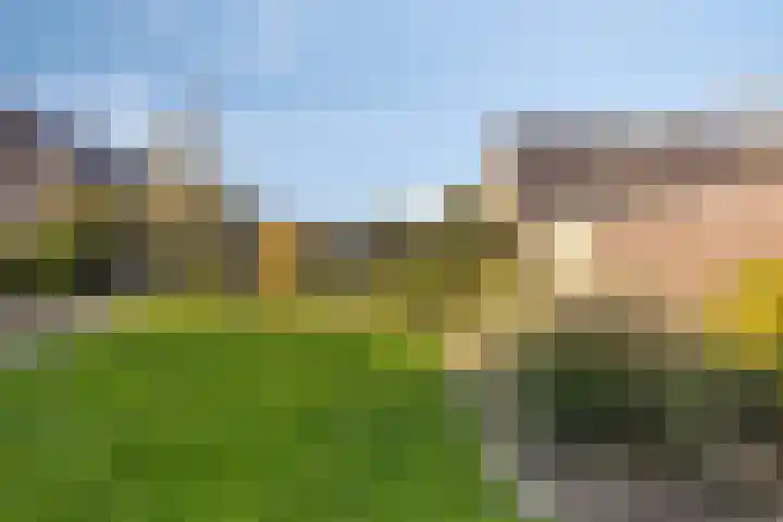 Oude Polderstraat 48 Hulst thumbnail 47