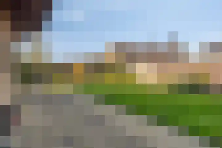 Oude Polderstraat 48 Hulst thumbnail 48