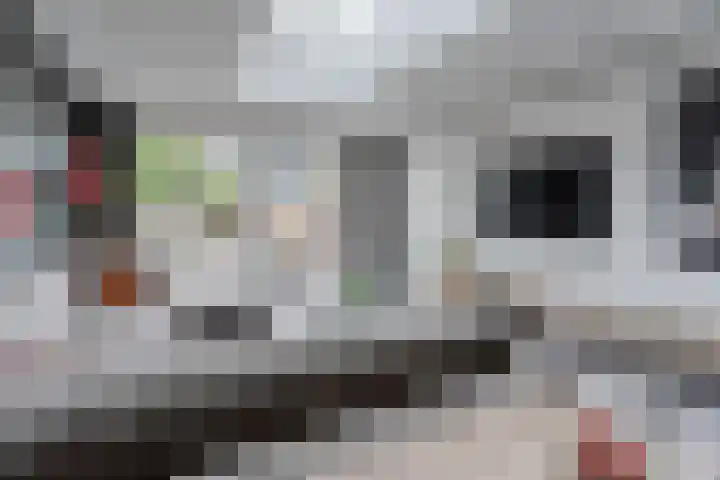 Oude Postelseweg 16 Eersel thumbnail 10