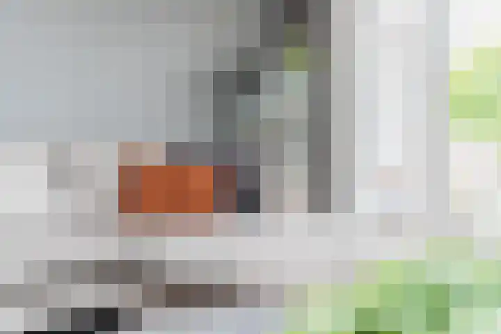 Oude Postelseweg 16 Eersel thumbnail 11