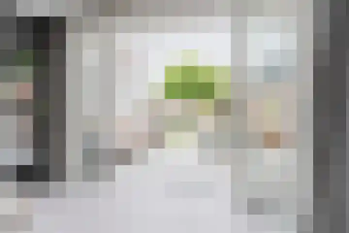 Oude Postelseweg 16 Eersel thumbnail 12