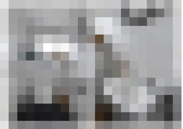 Oude Postelseweg 16 Eersel thumbnail 19