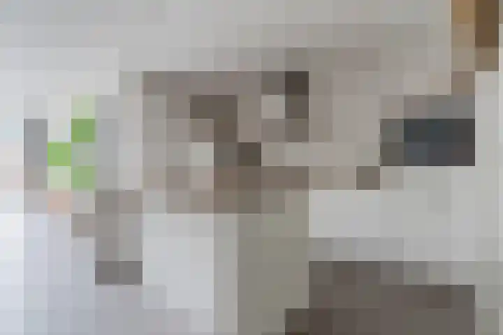 Oude Postelseweg 16 Eersel thumbnail 19