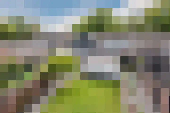 Oude Postelseweg 16 Eersel foto 2