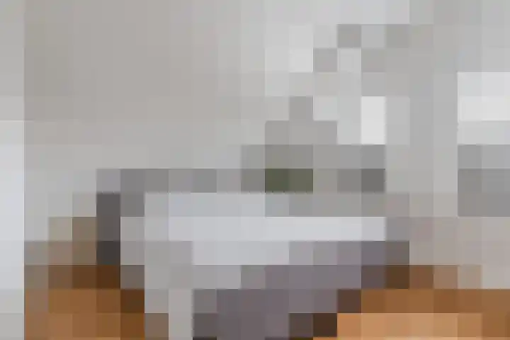 Oude Postelseweg 16 Eersel thumbnail 24