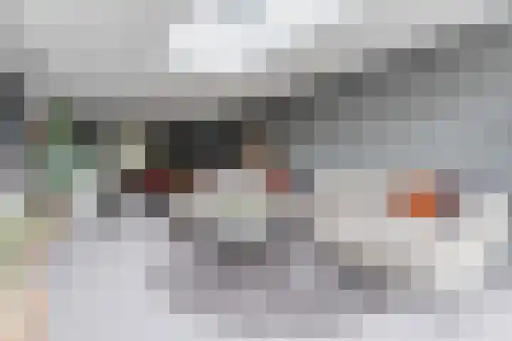 Oude Postelseweg 16 Eersel foto 3