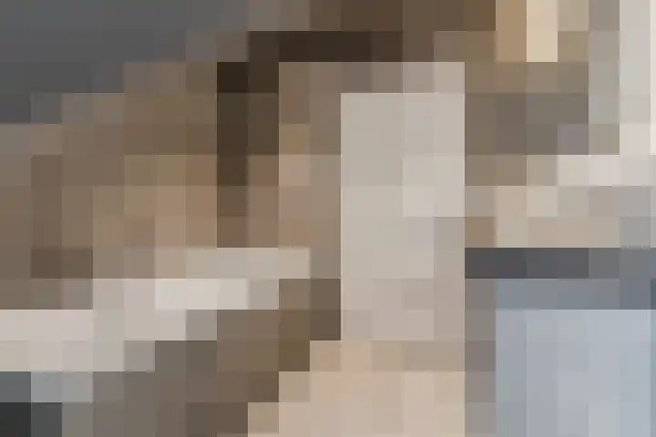 Oude Postelseweg 16 Eersel thumbnail 31