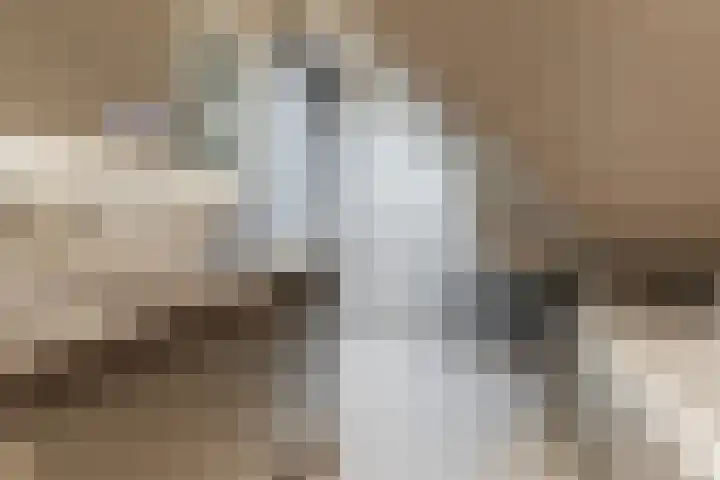 Oude Postelseweg 16 Eersel thumbnail 32