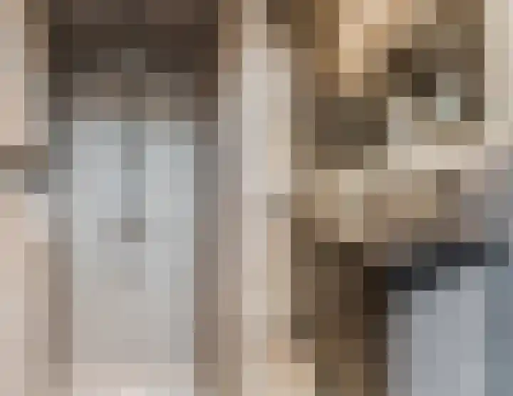 Oude Postelseweg 16 Eersel thumbnail 33