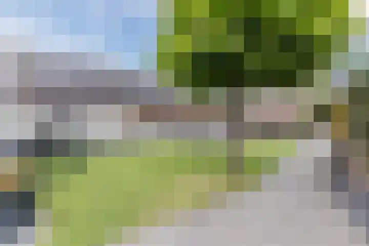 Oude Postelseweg 16 Eersel thumbnail 36