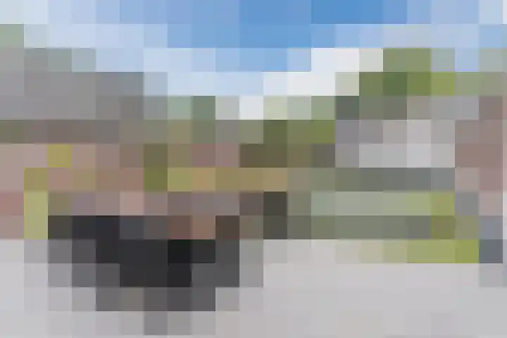 Oude Postelseweg 16 Eersel thumbnail 40