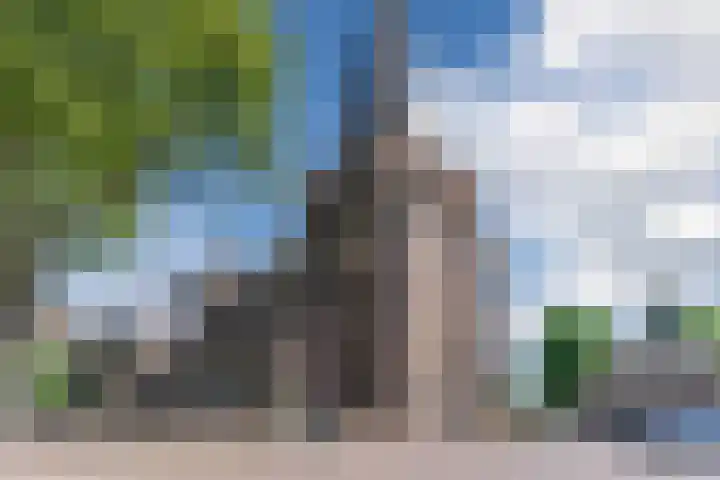 Oude Postelseweg 16 Eersel thumbnail 47