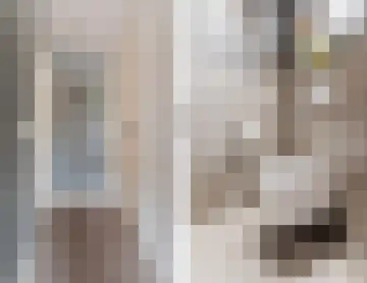 Oude Postelseweg 16 Eersel thumbnail 6