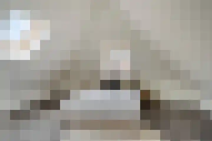 Oude Postelseweg 16 Eersel thumbnail 7