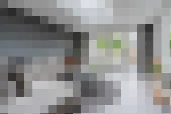 Oude Postelseweg 16 Eersel thumbnail 9