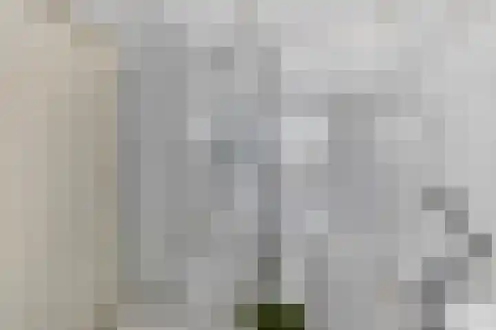 Oude Postweg 105 Austerlitz thumbnail 15