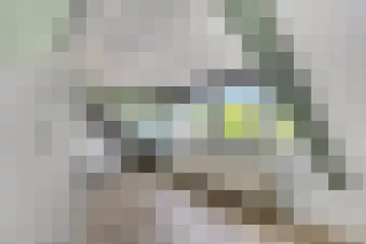 Oude Postweg 105 Austerlitz thumbnail 27