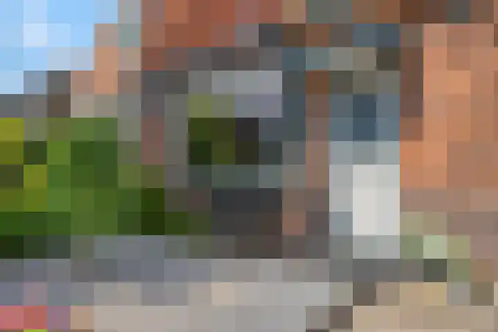 Oude Postweg 105 Austerlitz thumbnail 45